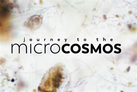 Journey to the Microscosmos!  A Deep Dive into Cellular Biology for Young Scientists